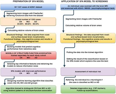 Patterns of structure-function association in normal aging and in Alzheimer's disease: Screening for mild cognitive impairment and dementia with ML regression and classification models